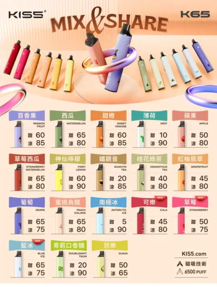 凱斯KIS5 6500口一次性拋棄式電子煙